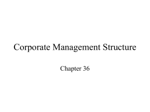 Corporate Management Structure