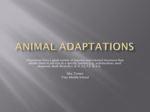 Animal Adaptations - Vian Public Schools