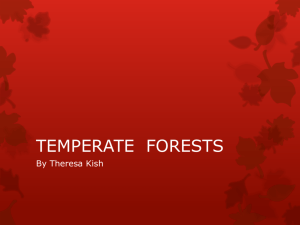Kish_TEMPERATE FORESTS