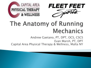 The Anatomy of Running Mechanics