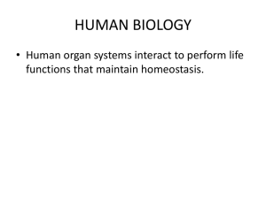 human biology - Pleasantville High School