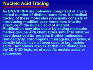Polymerase Chain Reaction End Labeling, Nick & Replacement, etc.