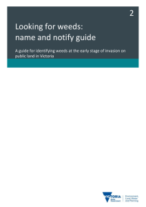 Looking for weeds: name and notify guide [MS Word Document