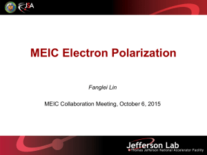 Electron Polarization