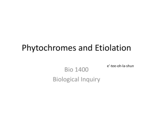 Phytochromes_etiolation_cellSignalingSp15