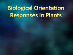 Biological Orientation Responses in Plants