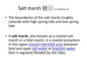 salt marsh en.wikipedia.org