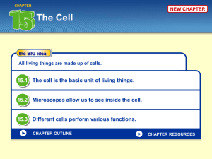 Microscopes allow us to see inside the cell.