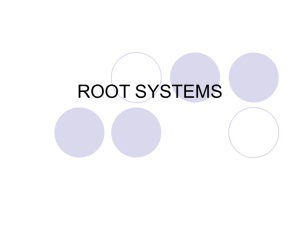 Root Systems - Mineral Area College