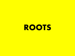Root Notes