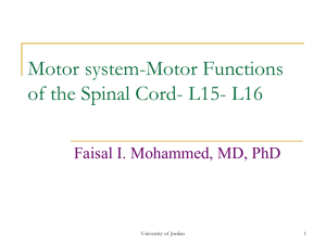 Motor Functions of the Spinal Cord-L 15