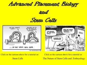 AP Biology and Stem Cells