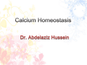 calcium homoestasis