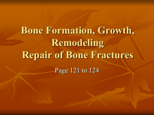 Bone Formation, Growth, Remodeling Repair of Bone