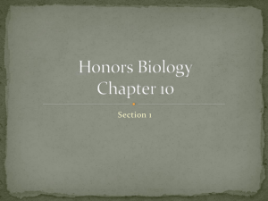 Honors Biology Chapter 10