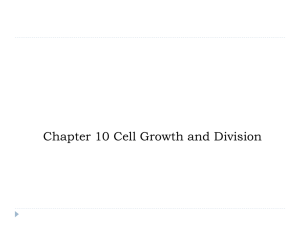 Chapter 10 Cell Grwt 15