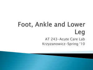 Foot, Ankle and Lower Leg - Athletic Taping and Bracing