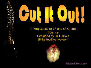 Cut It Out - Human Body Systems