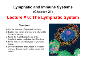 Lecture # 6: The Lymphatic System