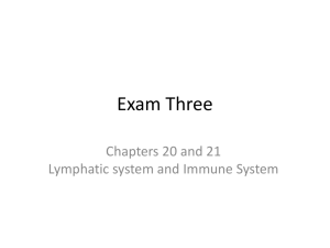 Exam Three
