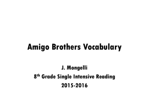 Amigo Brothers Vocabulary