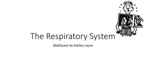 The Respiratory System WebQuest