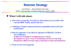 Detector Strategy - Stony Brook University