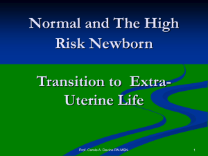 Normal and The High Risk Newborn Transition to Extra