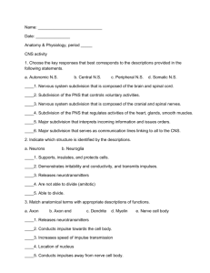 CNS activity sheet 1