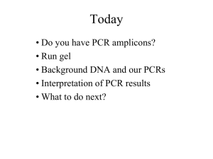 6 PCR details results
