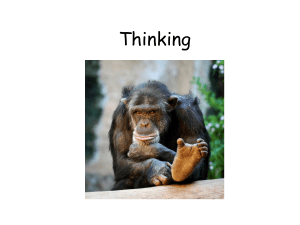Thinking - AP Psychology Community