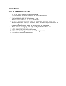 LO_Chapter_18 Musculoskeletal
