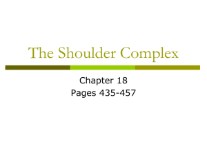 The Shoulder Complex: Bony Anatomy