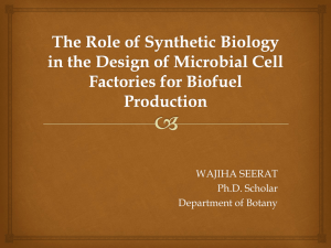 Synthetic Biology and Biodiesel Production