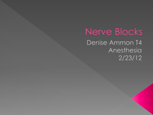Nerve Blocks