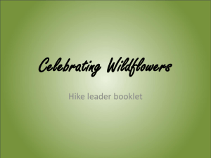 Celebrating Wildflowers 2010