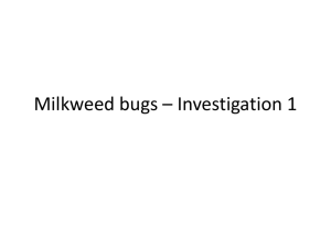 Milkweed bugs * Investigation 1 - McArthur Media
