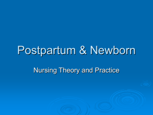 Postpartum & Newborn