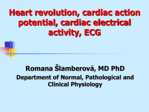 Srdeční revoluce, srdeční akční potenciál, elektrická aktivita srdce