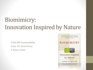Biomimicry - Brian Fisher
