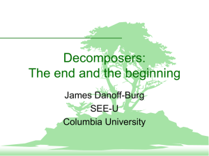 Decomposers: The end and the beginning