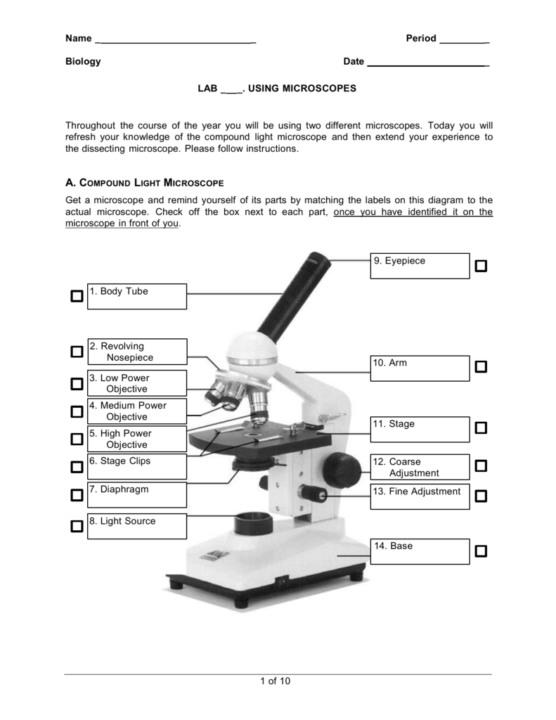 Worksheet Microscope Labeling Worksheet Grass Fedjp Worksheet Study Site