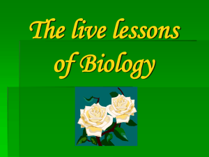 The live lessons of Biology