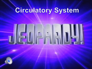 Circulatory Jeopardy Review Game