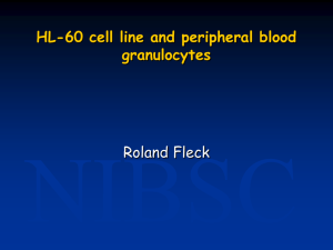 HL-60 cell line and peripheral blood granulocytes
