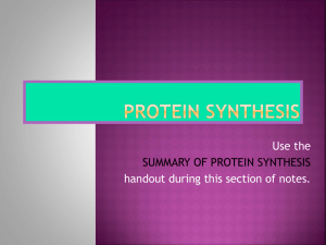 Protein Synthesis 2014