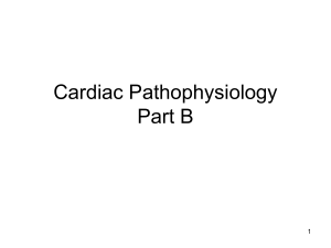 Cardiac Pathophysiology B