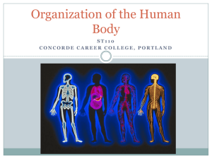 ST110 Organization of the Human Body_BB
