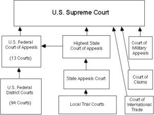Local, State, Federal Courts