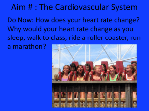 cardiovascular systemthree